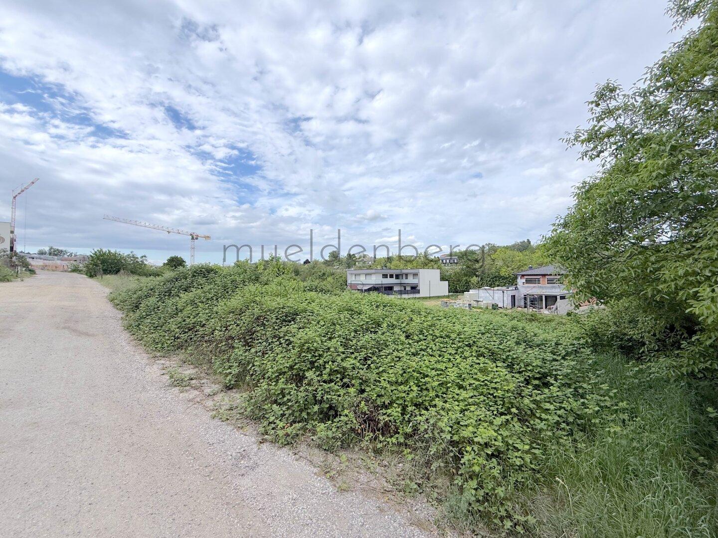 Traum-Baugrund 376m² in Neusiedl am See – Eigenheim verwirklichen zum Top-Preis!