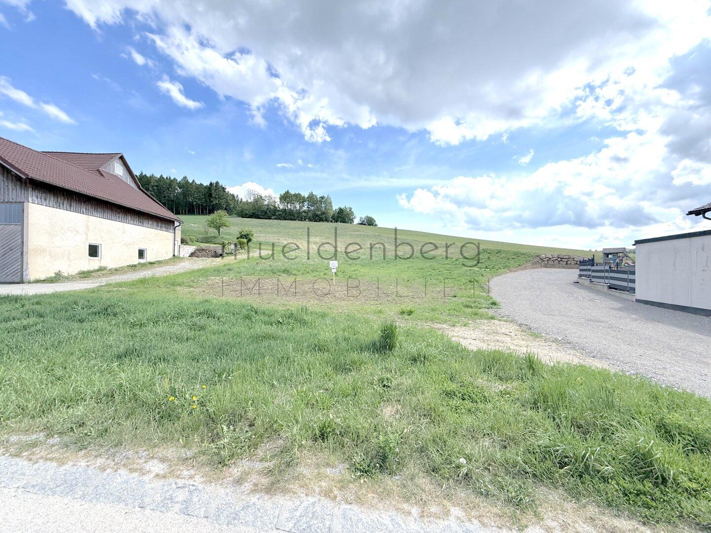 Großes Baugrundstück 4013m² in 3610 Maigen – Ihr Traum-Eigenheim wartet!